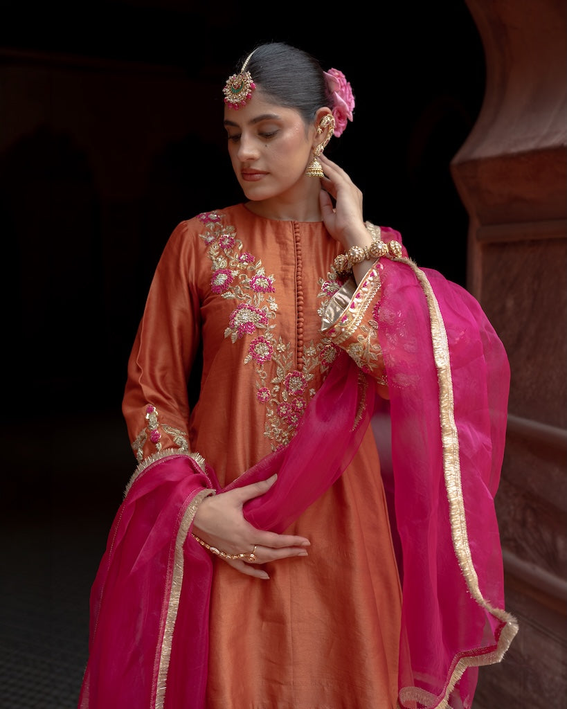Gulaab Raani A-Line Farshi Set