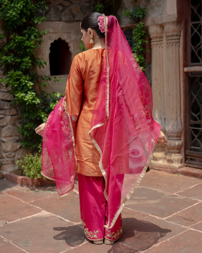 Gulaab Raani A-Line Farshi Set